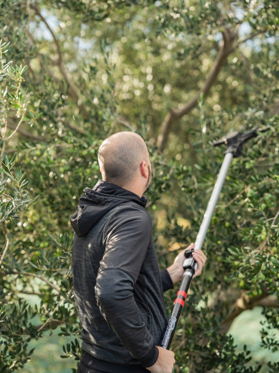 Atelj Zagrad familija