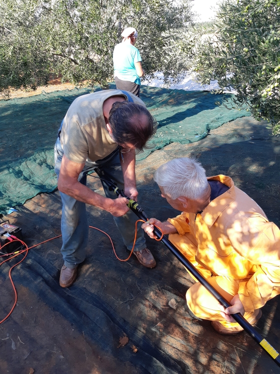 Atelj Zagrad familija