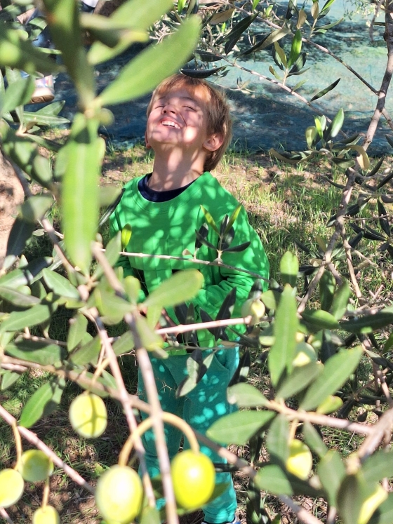 Atelj Zagrad familija