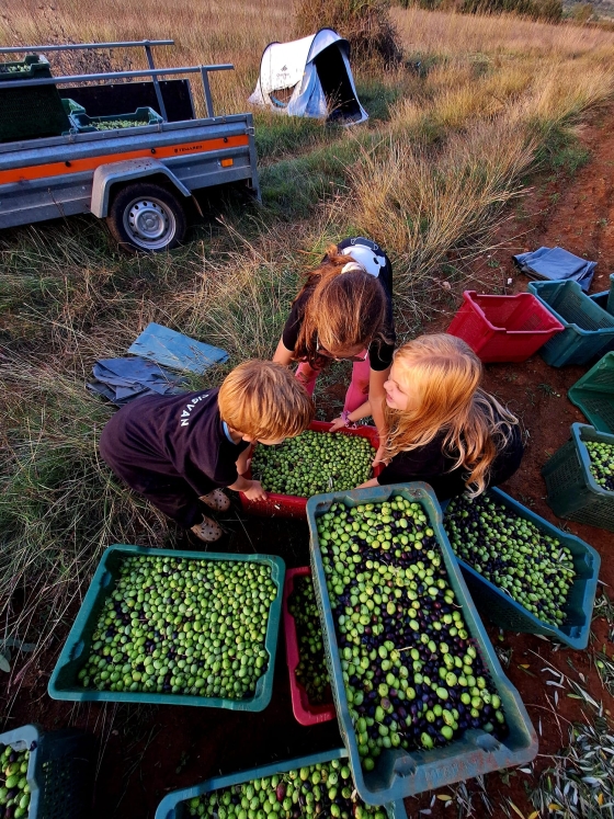 Atelj Zagrad familija