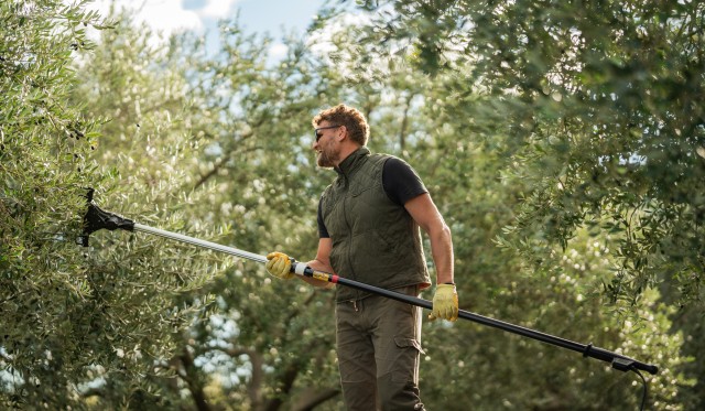 MASLINARI / Deset pitanja za Krešimira Atelja