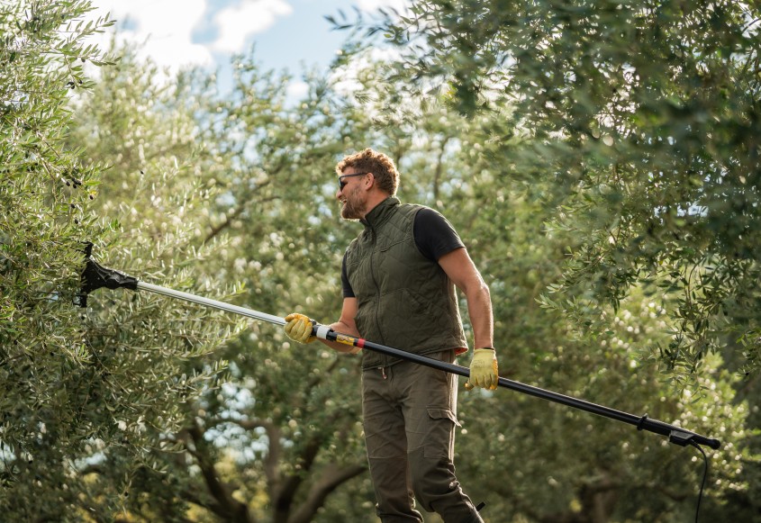 MASLINARI / Deset pitanja za Krešimira Atelja