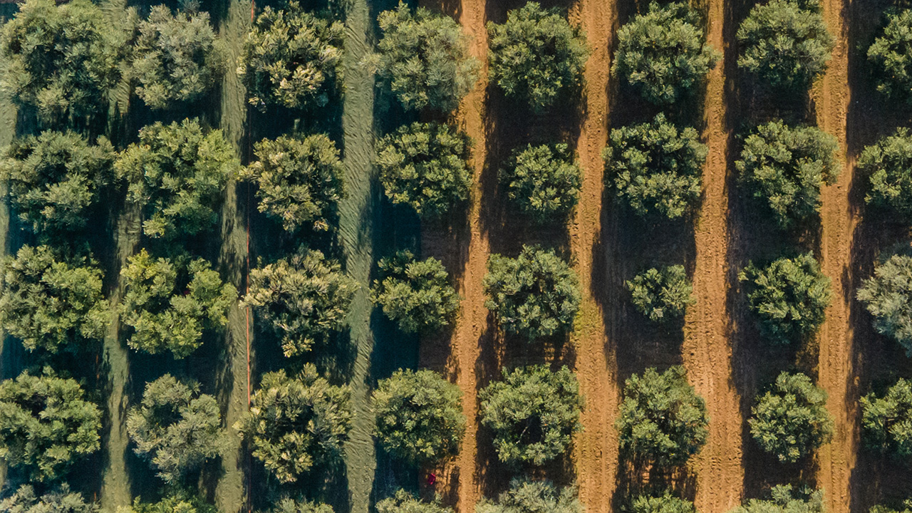 ravni kotari iz zraka