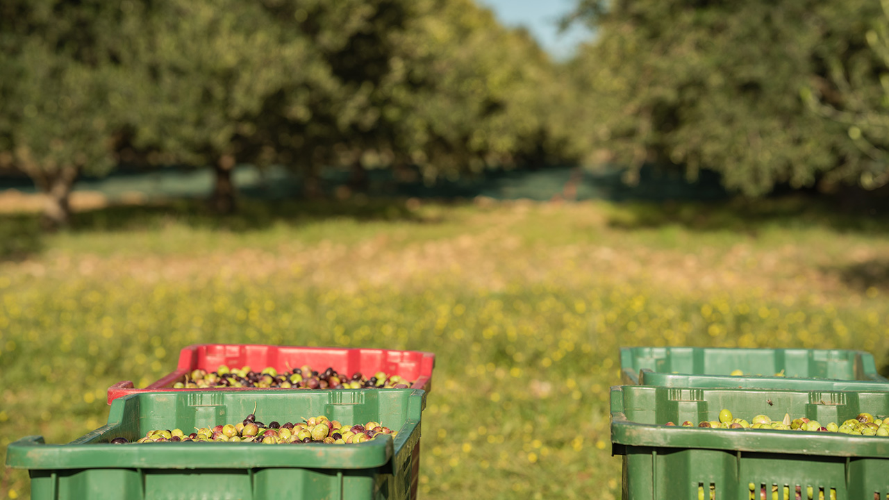 ravni kotari iz zraka