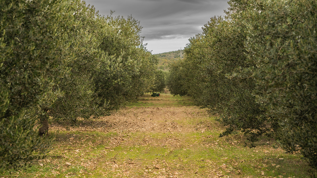 ravni kotari iz zraka