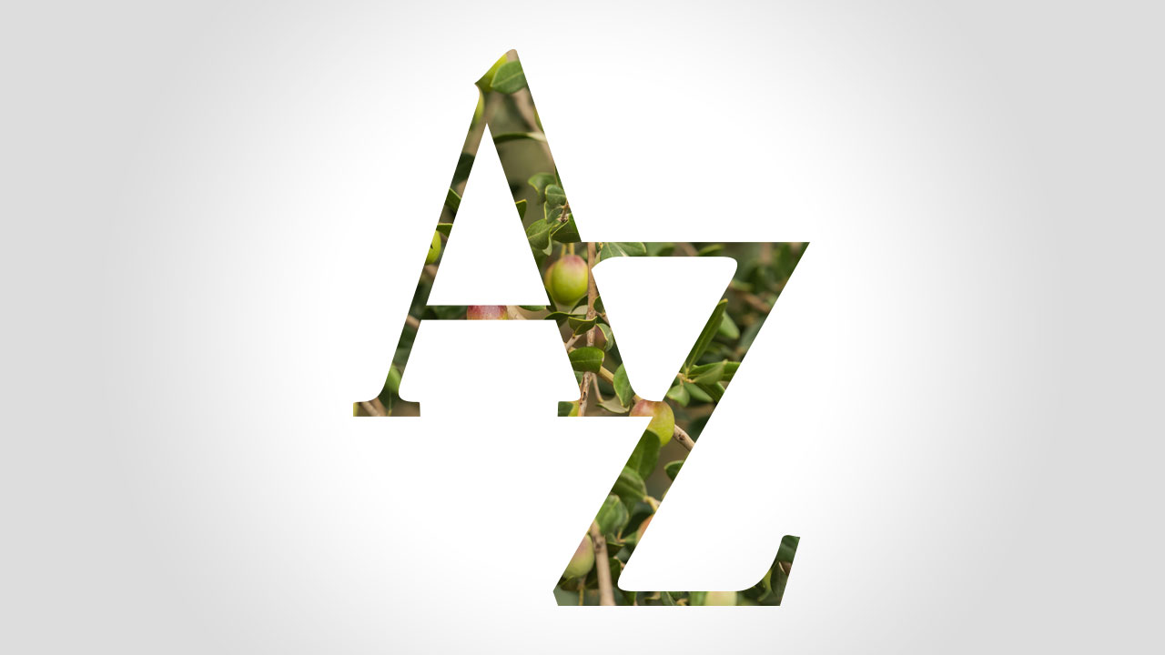 Atelj Zagrad logo