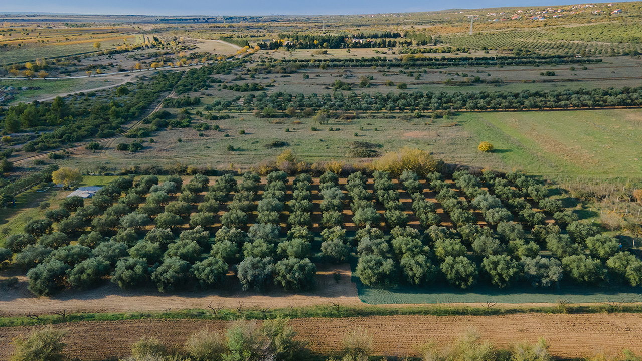 ravni kotari iz zraka